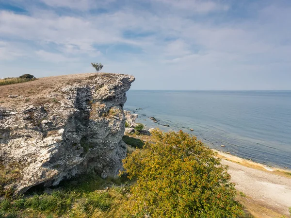 Deniz kıyısının güzel bir manzarası