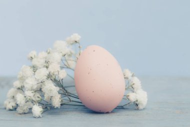 Paskalya yumurtaları ve Söğüt dalları beyaz bir arka plan üzerinde.