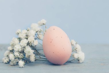 Paskalya yumurtaları ve Söğüt dalları beyaz bir arka plan üzerinde.