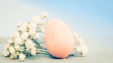 Tahta bir arka planda paskalya yumurtaları ve söğüt dalları.