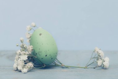 Beyaz arka planda bir yuvada paskalya yumurtaları