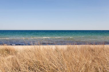 Hollanda 'daki Baltık Denizi Sahili