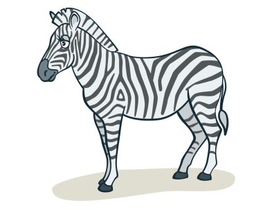 karikatür zebra