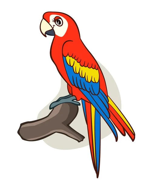 Cartoon Papagal — Vector de stoc
