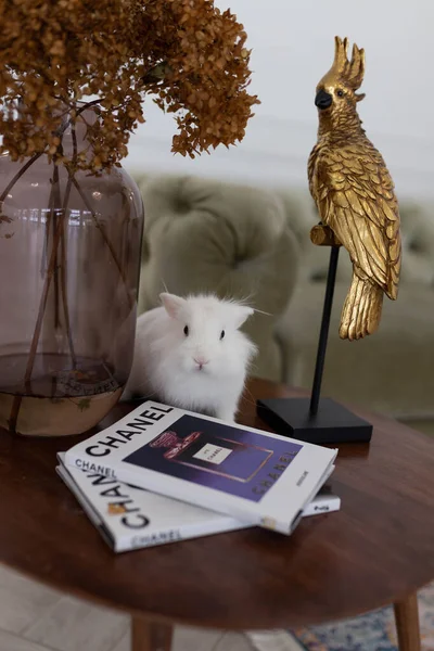Белый Пушистый Милый Кролик Яркой Комнате Фоне Красивого Зеленого Дивана — стоковое фото