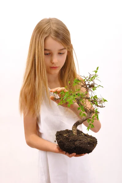 Lány simogatása fa — Stock Fotó