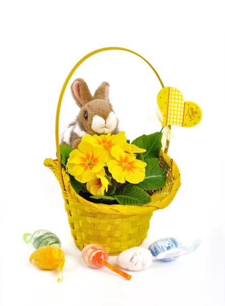 Cesta de coelho fofo com flores amarelas e ovos de Páscoa espalhados — Fotografia de Stock
