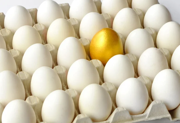 Ovo dourado entre ovos de galinha em pacote — Fotografia de Stock