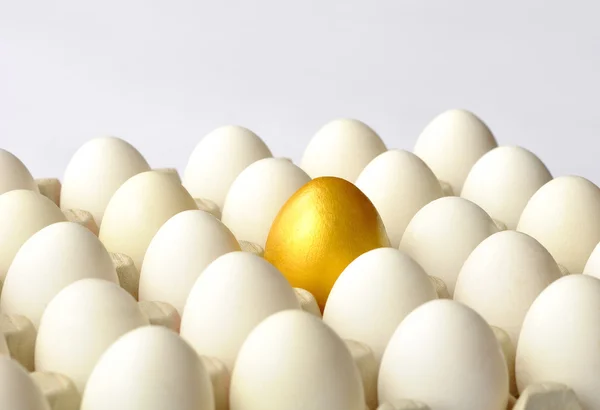 Zlaté vejce mezi bílé vejce — Stock fotografie