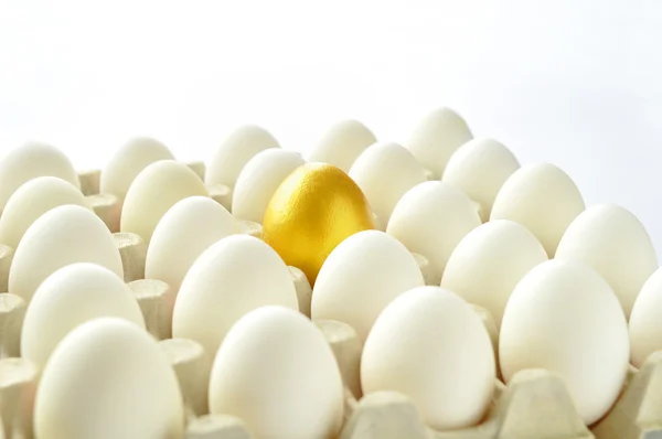 Překvapení - zlatá vejce — Stock fotografie