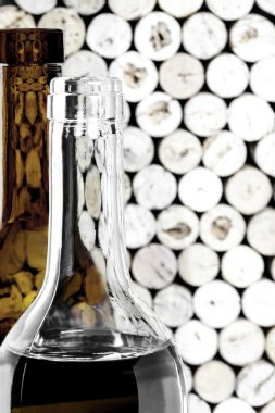 Mantarlar zemin üzerine şarap şişeleri