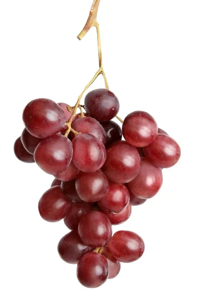 Fresh Grape — Stock Photo, Image