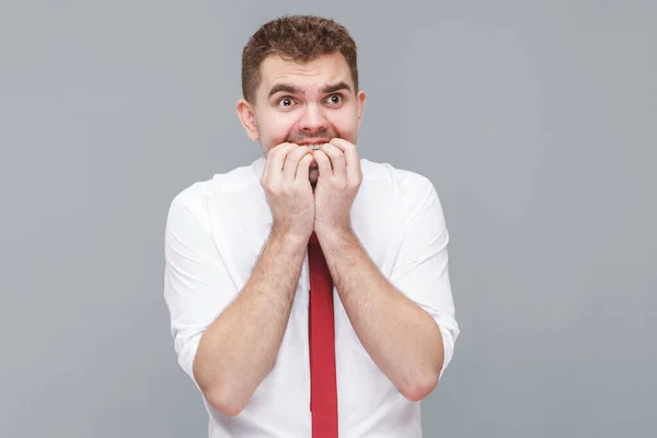 Portrait of young nervous man in white shirt and tie standing, bitting his nails and looking with nervous worry face. indoor isolated on gray background.