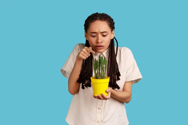 Surprised Woman Black Dreadlocks Stares Scary Holds Breath Holding Potted — Fotografia de Stock