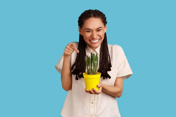 Mujer Bastante Alegre Con Rastas Negras Sosteniendo Maceta Suculento Cactus — Foto de Stock