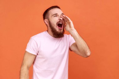 Yakışıklı sakallı adamın yüksek sesle bağırması, el ele tutuşması, çığlıklar atması, pembe tişört giymesi. Turuncu arka planda kapalı stüdyo çekimleri.