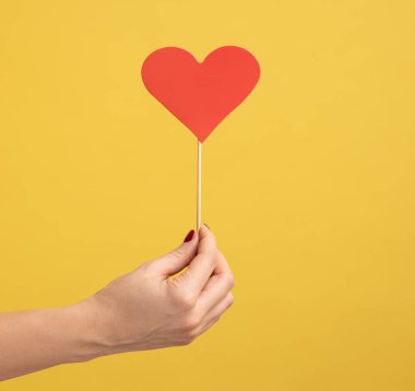Profile side view closeup of woman hand holding small red heart stick in hand, symbol of love and gentle. Indoor studio shot isolated on yellow background.