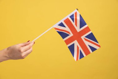 Profile side view closeup of woman hand holding flag of a constituent unit of the United Kingdom. June 4: British Independence Day. Indoor studio shot isolated on yellow background.