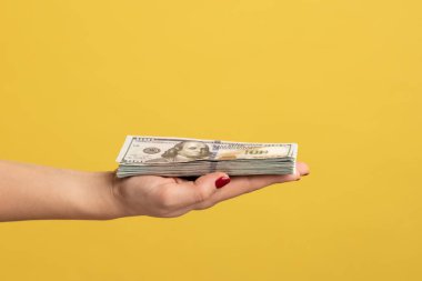Side view closeup of woman hand showing fan of dollar banknotes, arm holding cash, lot of money and wealthy life, big profit, financial income. Indoor studio shot isolated on yellow background.