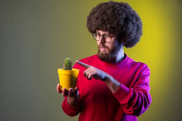 Retrato Hombre Hipster Con Peinado Afro Tocando Cactus Con Dedo — Foto de Stock