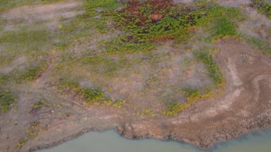 Yazın yeşil bozkır ya da çayır manzarası, ağaçlar ve çalılarla kaplı manzara, nehrin kıyısı ya da göl manzarası.