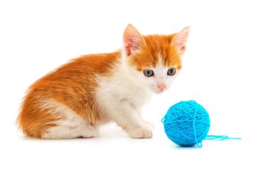 Küçük kedi yavrusu beyaz arka planda izole edilmiş bir iplik yumağıyla oynuyor..