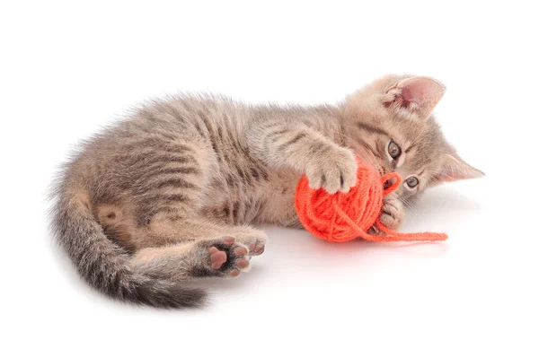 Petit Chaton Jouant Avec Une Boule Fil Isolé Sur Fond — Photo