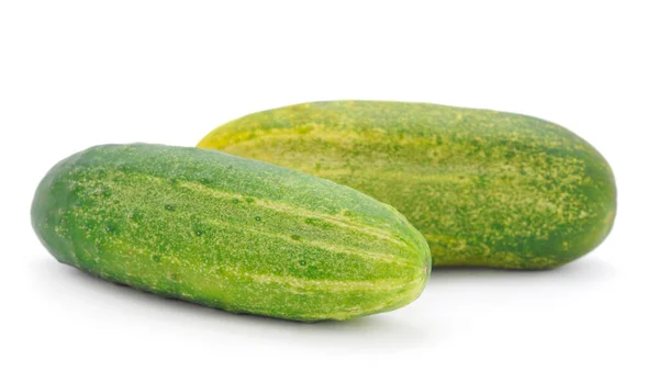 Organic Fresh Cucumber Isolated White Background — Stok fotoğraf