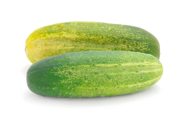 Organic Fresh Cucumber Isolated White Background — Stok fotoğraf