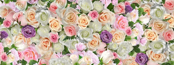 Background Colorful Live Natural Roses Collage Wallpaper — Stock Photo, Image