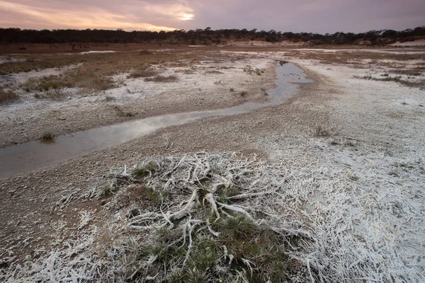 Salitre Chão Uma Lagoa Ambiente Semi Deserto Província Pampa Patagônia — Fotografia de Stock