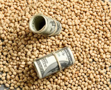 Dolar banknotları, madeni paralar ve soya fasulyeleri, oleaginöz meta değeri kavramı..