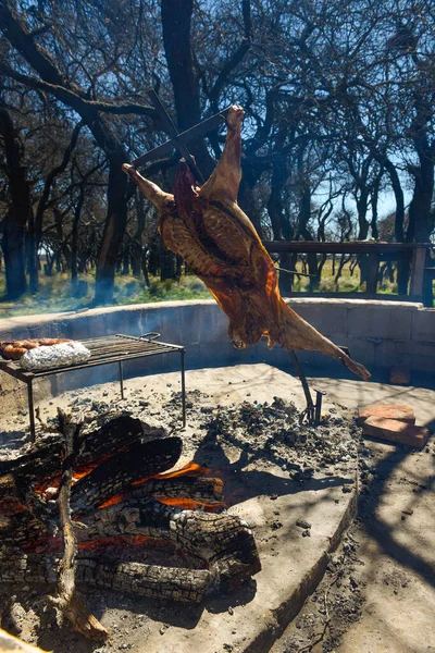 Bárány Nyárson Hagyományos Argentin Módszerrel Főzve Pampa Tartomány Patagónia Argentína — Stock Fotó