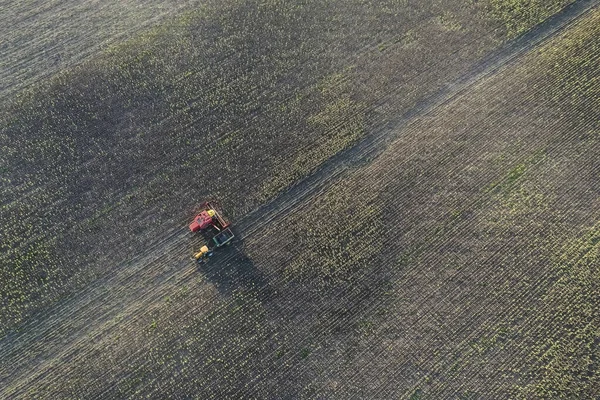 Barley Harvest Aerial View 阿根廷La Pampa — 图库照片