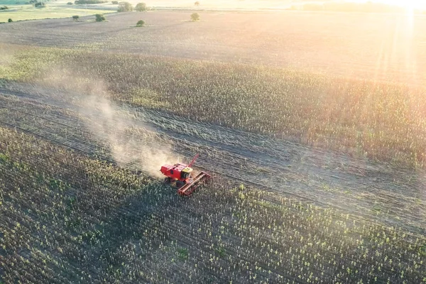 Barley Harvest Aerial View Pampa Argentina — Stock Photo, Image