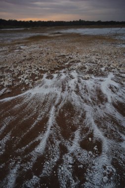 La Pampa, Patagonya, Arjantin 'de yarı çöl bir çevrede bir lagünün zemininde güherçile var..