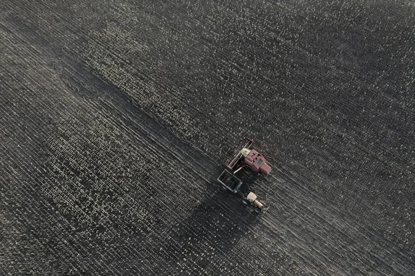 大麦の収穫空中ビュー ラパンパで アルゼンチン — ストック写真