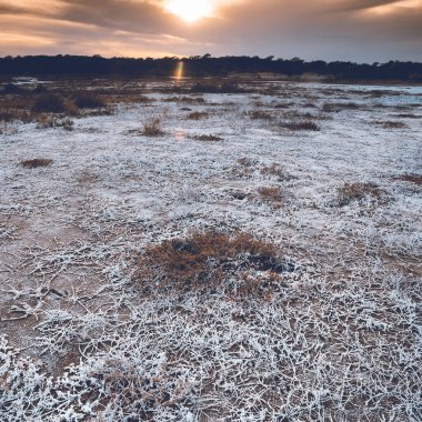 La Pampa, Patagonya, Arjantin 'de yarı çöl bir çevrede bir lagünün zemininde güherçile var..