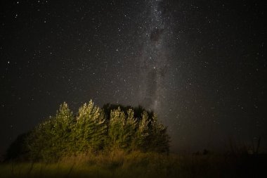 Pampas manzarası gece yıldızlı bir gökyüzü ile çekildi, La Pampa vilayeti, Patagonya, Arjantin.