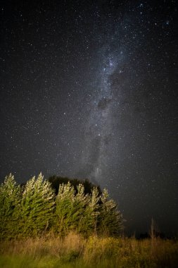 Pampas manzarası gece yıldızlı bir gökyüzü ile çekildi, La Pampa vilayeti, Patagonya, Arjantin.