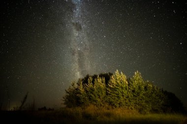 Pampas manzarası gece yıldızlı bir gökyüzü ile çekildi, La Pampa vilayeti, Patagonya, Arjantin.