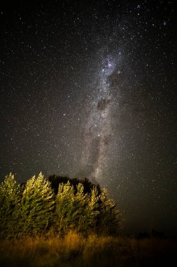 Pampas manzarası gece yıldızlı bir gökyüzü ile çekildi, La Pampa vilayeti, Patagonya, Arjantin.