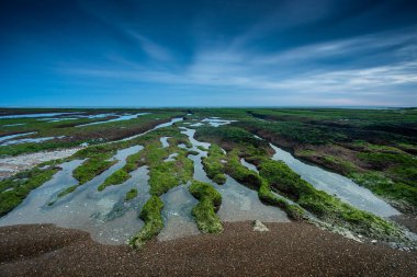 Peninsula Valdes, Dünya Mirası, Patagonya, Arjantin 'deki Low Tide kıyı manzarası