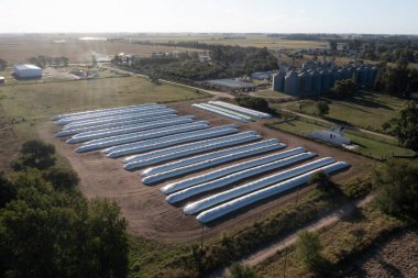 Soya fasulyeleriyle dolu bir torba, La Pampa Eyaleti, Patagonya, Arjantin.