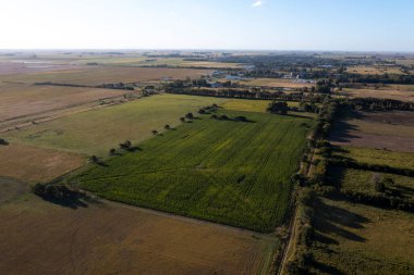 Soya fasulyeleriyle dolu bir torba, La Pampa Eyaleti, Patagonya, Arjantin.