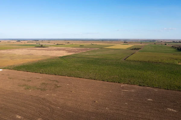 Τοπίο Pampas Countryside Επαρχία Pampa Παταγονία Αργεντινή — Φωτογραφία Αρχείου