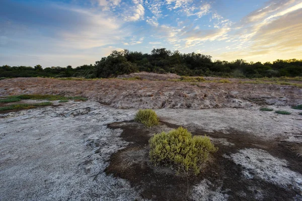 Salitre Chão Uma Lagoa Ambiente Semi Deserto Província Pampa Patagônia — Fotografia de Stock