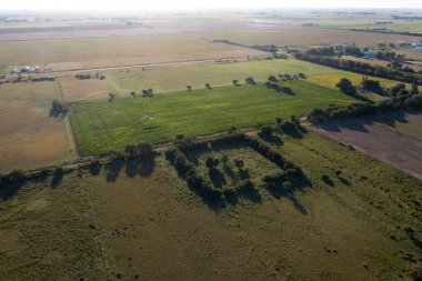 Soya fasulyeleriyle dolu bir torba, La Pampa Eyaleti, Patagonya, Arjantin.