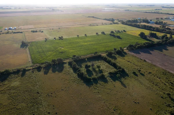 Torba Silosu Wypełniona Nasionami Soi Prowincja Pampa Patagonia Argentyna — Zdjęcie stockowe