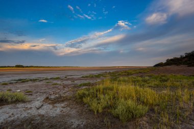La Pampa, Patagonya, Arjantin 'de yarı çöl bir çevrede bir lagünün zemininde güherçile var..